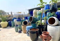 South Vietnam’s Climate And Production Solutions