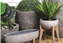 The Secret Significance Of Your Planted Indoor Trees Revealed