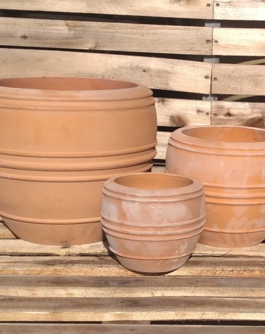TERRACOTTA